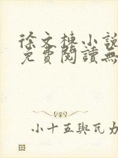 徐文栋小说全文免费阅读无弹窗