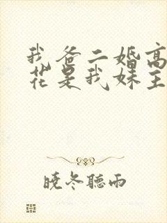 我爸二婚高冷校花是我妹主演封面