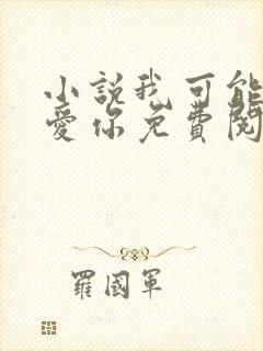小说我可能不会爱你免费阅读