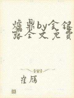 炉鼎by金银花露全文免费阅读笔趣阁