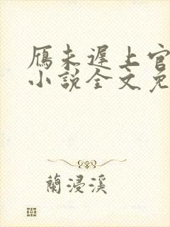 雁未迟上官穿越小说全文免费阅读封面