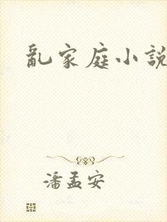 乱家庭小说封面