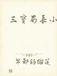 三宝局长小说