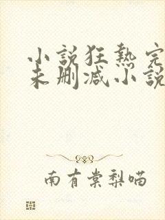 小说狂热完整版未删减小说