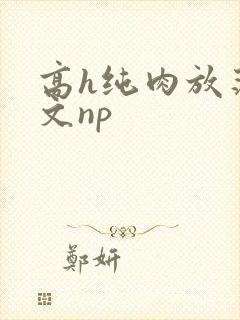 高h纯肉放荡h文np封面