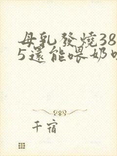 母乳发烧38.5还能喂奶吗