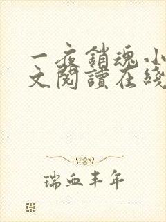 一夜销魂小说全文阅读在线