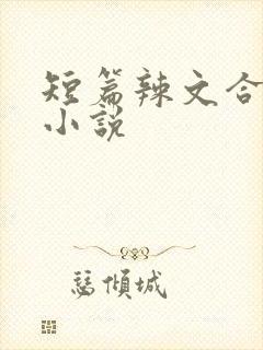 短篇辣文合集 小说