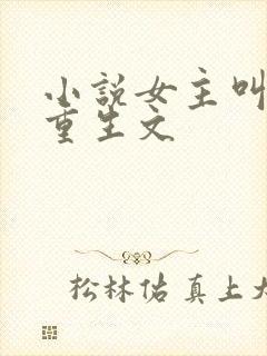 小说女主叫沈棠重生文封面