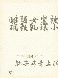 雌堕女装被主人调教乳环小说封面