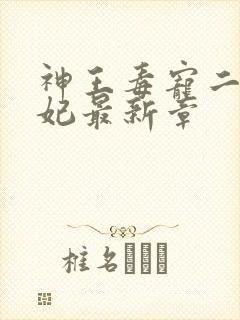 神王毒宠二嫁王妃最新章