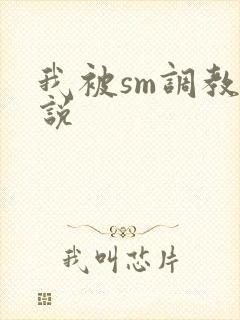 我被sm调教小说