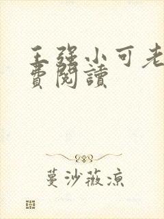王强小可老爸免费阅读封面