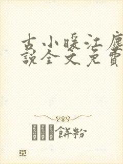 古小暖江尘御小说全文免费阅读