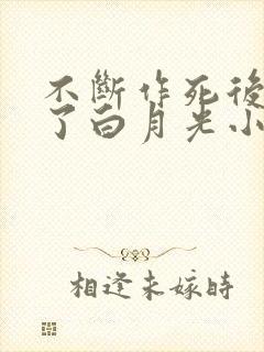 不断作死后我成了白月光小说阅读