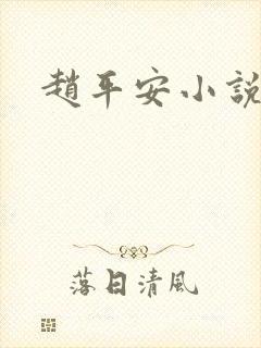 赵平安小说主角