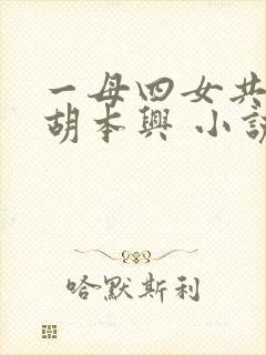 一母四女共一婿胡本兴 小说