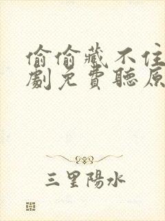 偷偷藏不住广播剧免费听原版