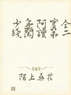 少年阿宾全文在线阅读第二季