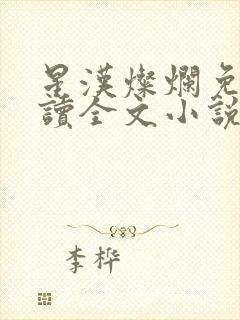 星汉灿烂免费阅读全文小说封面