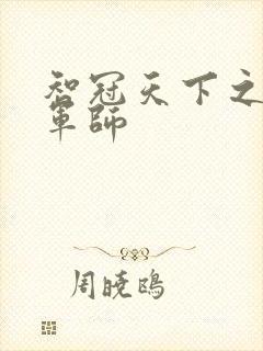 智冠天下之风流军师封面
