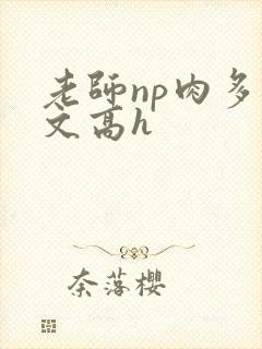 老师np肉多荤文高h