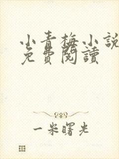 小青梅小说全文免费阅读