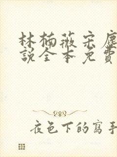 林楠薇宋尘翎小说全本免费阅读无广封面