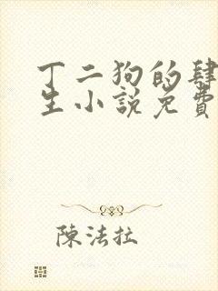 丁二狗的肆意人生小说免费1