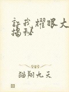 许我耀眼大结局揭秘