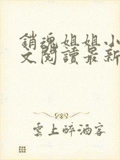 销魂姐姐小说全文阅读最新章节列表