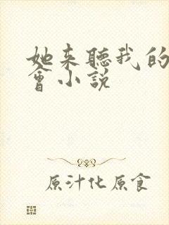 她来听我的演唱会小说封面