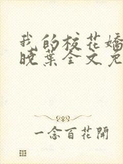 我的校花娇妻秦晓叶全文免费阅读