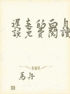 迟来的白月光小说免费阅读