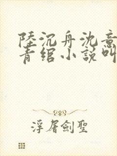 陆沉舟沈意欢林青绾小说叫什么