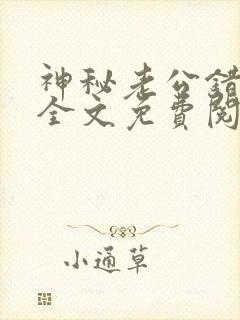 神秘老公错嫁妻全文免费阅读封面