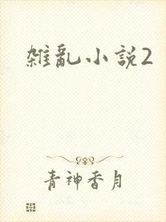 杂乱小说2