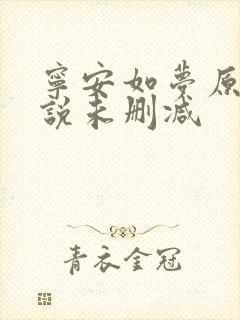 宁安如梦原著小说未删减