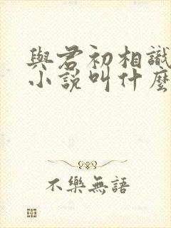 与君初相识原著小说叫什么