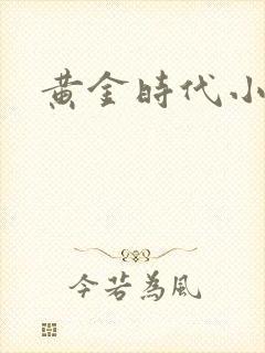 黄金时代小说