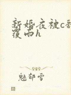 新婚夜被c翻云覆雨h封面