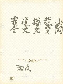 霸道总裁小娇妻全文免费阅读