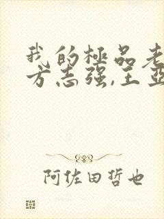 我的极品老婆(方志强,王亚欣)