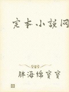 完本小说网