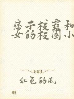 痞子校霸和乖乖女的校园小说