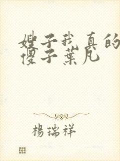 嫂子我真的不是傻子叶凡封面