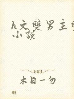 h文双男主双性小说