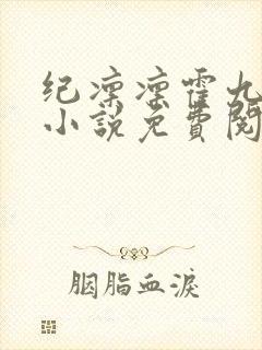 纪凛凛霍九霖的小说免费阅读在线封面