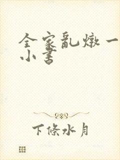 全家乱炖一锅烩小书