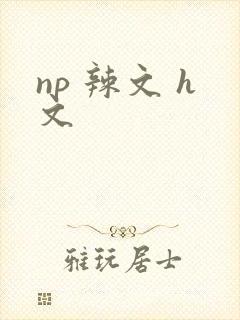 np 辣文 h文